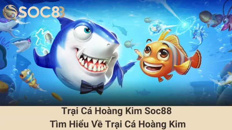 Trại Cá Hoàng Kim Soc88 - Tìm Hiểu Về Trại Cá Hoàng Kim